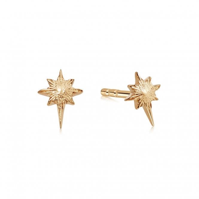 Super Star Stud 18ct Gold Plated Earrings ST07_GPDaisyST07_GP