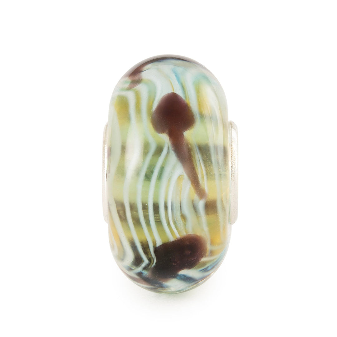 Tadpole's Journey Glass Bead TGLBE - 20447TrollbeadsTGLBE - 20447