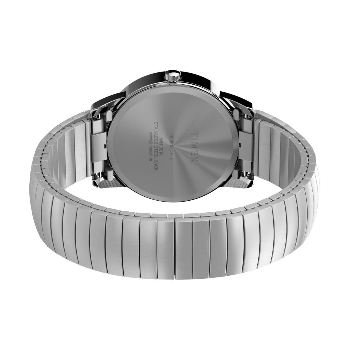 Timex Gents Easy Reader Silver Watch T20031Timex WatchesT20031D7PF