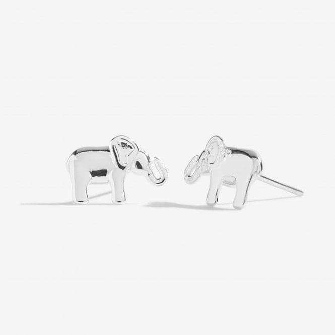 Treasure The Little Things Lucky Elephant 5003Joma Jewellery5003