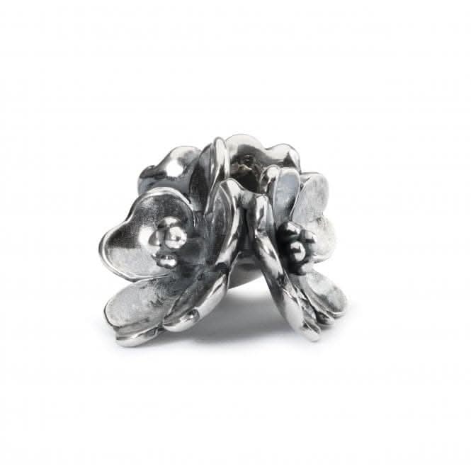 Apple Blossom TAGBE 40086