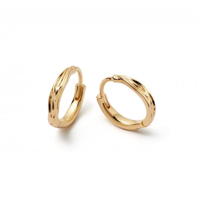 Twisted Huggie Hoop In 18ct Gold Plated Earrings E3117_GPDaisyE3117_GP