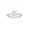 White Zirconia Roccanova Piccolo Ring SJ - R42266 - CZSif JakobsSJ - R42266 - CZ - 50