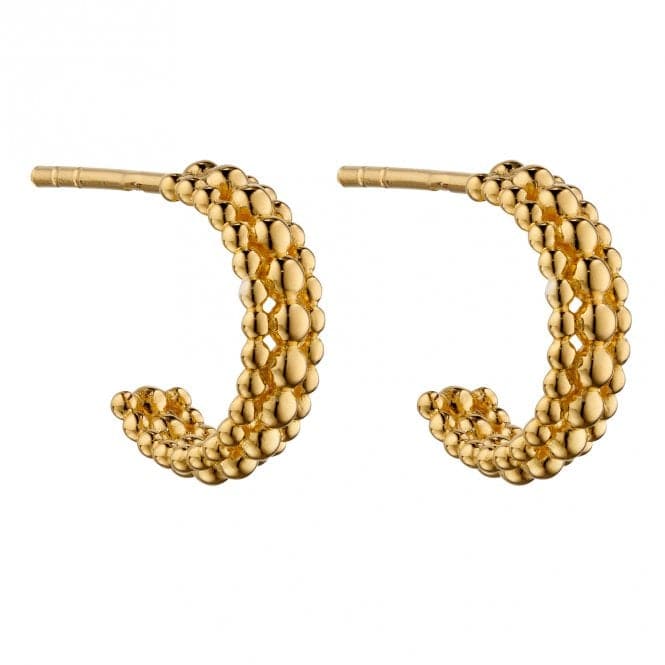 Yellow Gold Plated Multi Bead 3/4 Hoop Earrings E6009BeginningsE6009