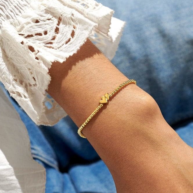 You Are So Lovely You Brighten Every Day Gold Plated 17.5cm Bracelet 6782Joma Jewellery6782