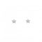 Zirconia Star Stud Earrings 3765CZDew3765CZ